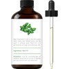 Handcraft Blends Basil Essential Oil – 1 Fl Oz –