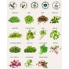 15 Tactiko Rapid Growth Microgreens & Vegetable Seed Kit –