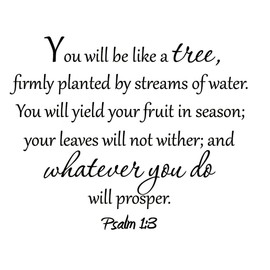 VWAQ VWAQ-30644 You Will Be Like a Tree Wall Decal, Black