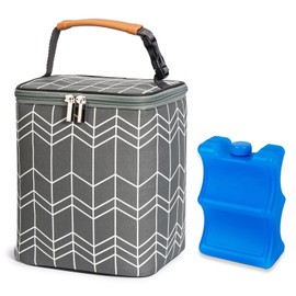 BABEYER - Bolsa térmica para leche materna con paquete de hielo para 4 biberones de hasta 255 ml, bolsa grande para biberones de bebé que se adapta a la lactancia y la guardería de mamá