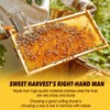 Dolenor Honey Uncapping Scraper, Tine Hive Scraper Tool Wooden Handle,Honeycomb