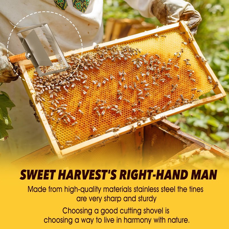Dolenor Honey Uncapping Scraper, Tine Hive Scraper Tool Wooden Handle,Honeycomb