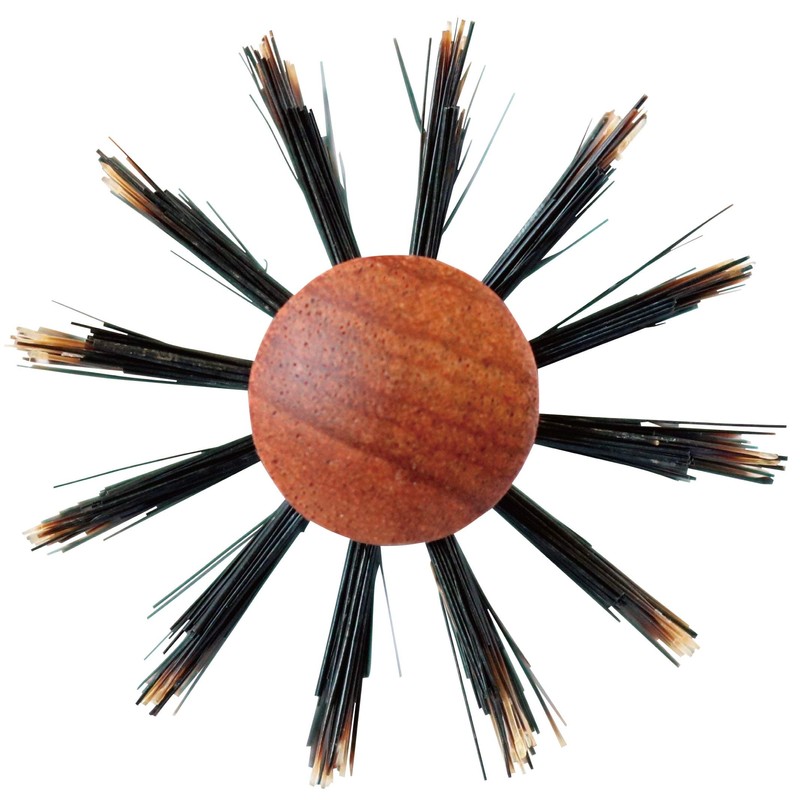 Sanby Industries HC Series HC-432 Roll Brush, Boar Hair +