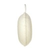 Pack of 1 x Earth Therapeutics Exfoliating Body Sponge -