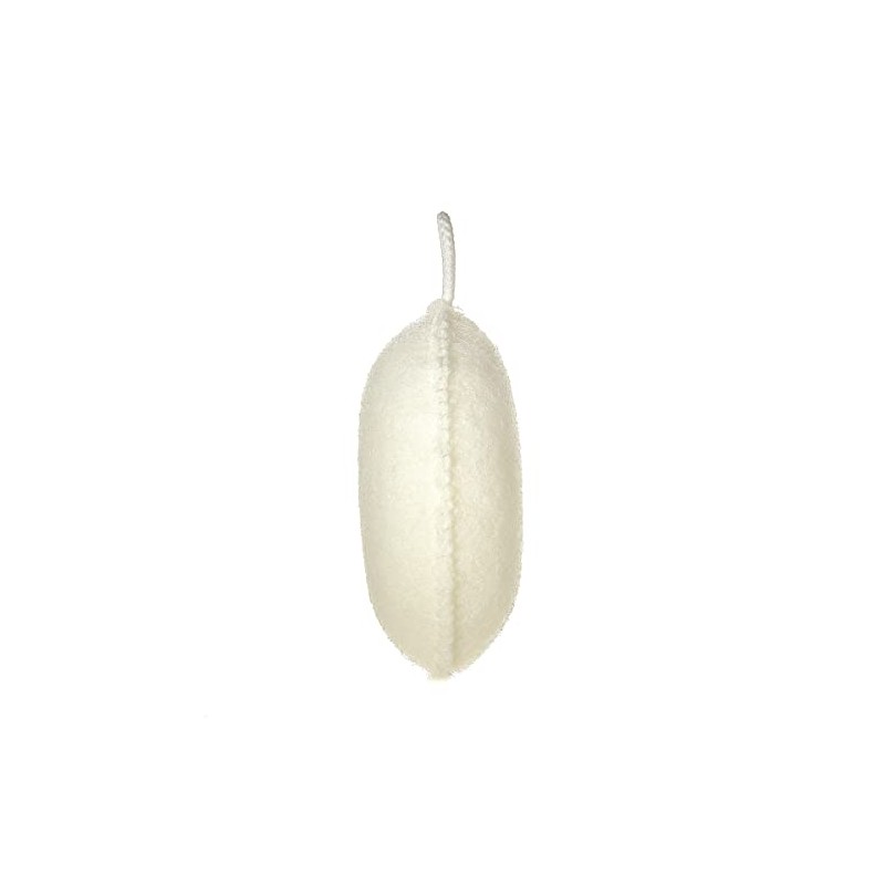 Pack of 1 x Earth Therapeutics Exfoliating Body Sponge -