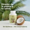 Aceite De Orégano Y Aceite De Coco En Capsulas 100