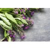 Consuelda Mayor Symphytum Officinale Crema Natural De 60g