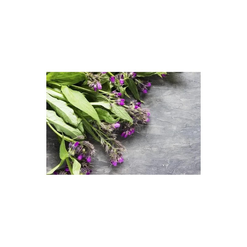 Consuelda Mayor Symphytum Officinale Crema Natural De 60g