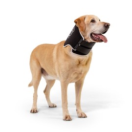 Balto Neck Eco Soft Recovery Collar for Dogs – E-Collar Alternative for Post-Surgery, Allergy Relief & Wound Protection – Adjustable, Breathable, Washable Cone – Vet-Approved (Extra Small)