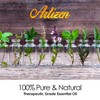 Artizen 30ml Oils - Geranium Essential Oil - 1 Fluid