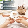 ROKR 3D Wooden Model Kits for Adults 3D Puzzles Magic