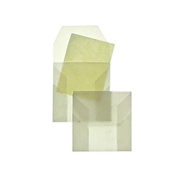 Pack of 100 Coin Bags, 50 x 50 mm, Straight Flap, 80 g/m² Glassine, Without Window, White (Transparent White) Blanke Briefhüllen