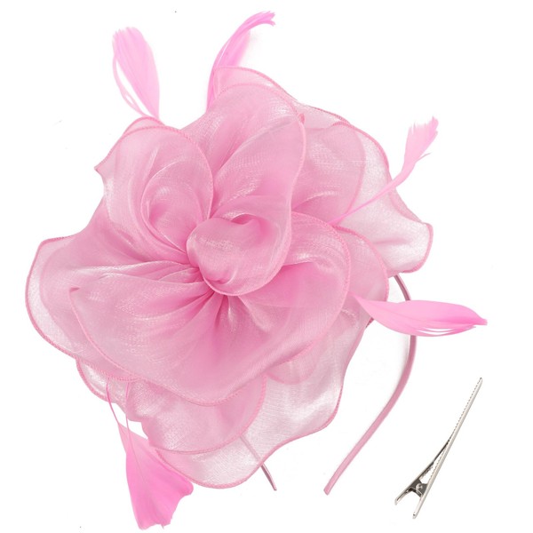 DRESHOW Fascinators Hat Tea Party Headwear Ribbons Feathers on a