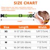 Seyezo Refective Dog Collar, Soft Neoprene Padded Pet Collar for