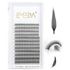 EMEDA Pyramid Lash Spikes Anime Eyelashes Premade Spire Lash Fans