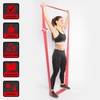 Deuser Physio Band 150 2.4 M Physioband, rot, 2.4m x