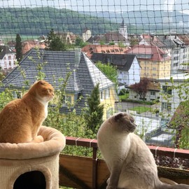 JUMXSRLE Balcony Netting for Cats, Wire-Reinforced Cat Net, Bite and Tear-Resistant, UV and Weather-Resistant, Balcony Cat Anti-Fall Netting for Pets (10x3m-black)