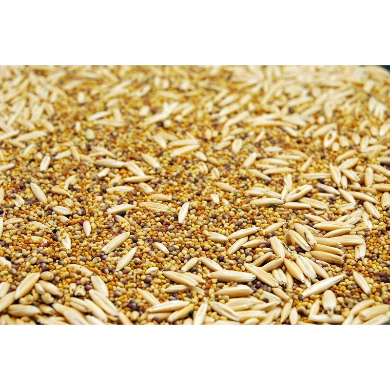 Wildlife Food Plot Blend & Forage Seed Mix by Eretz