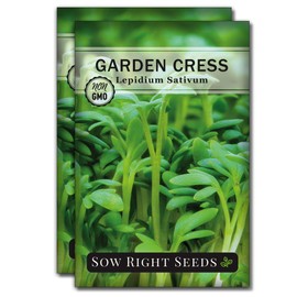 Sow Right Seeds - Garden Cress Seeds for Planting - Non-GMO Heirloom Packet with Instructions to Plant and Grow a Kitchen Herb Garden - Indoors or Outdoors - Edible Leaves and Cute Filler (2)