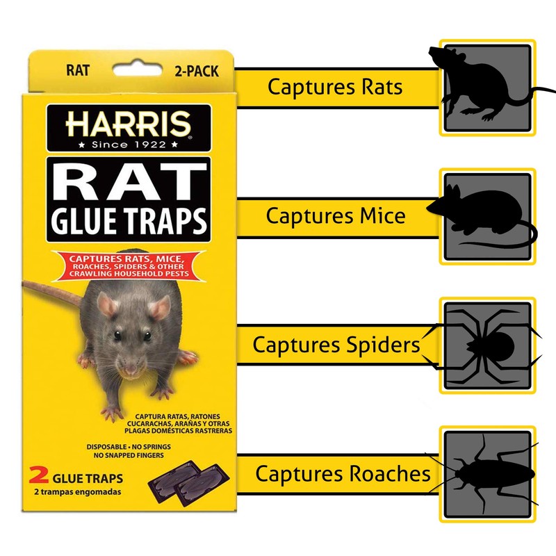 Harris Rat Glue Traps, Fully Disposable (2-Pack)