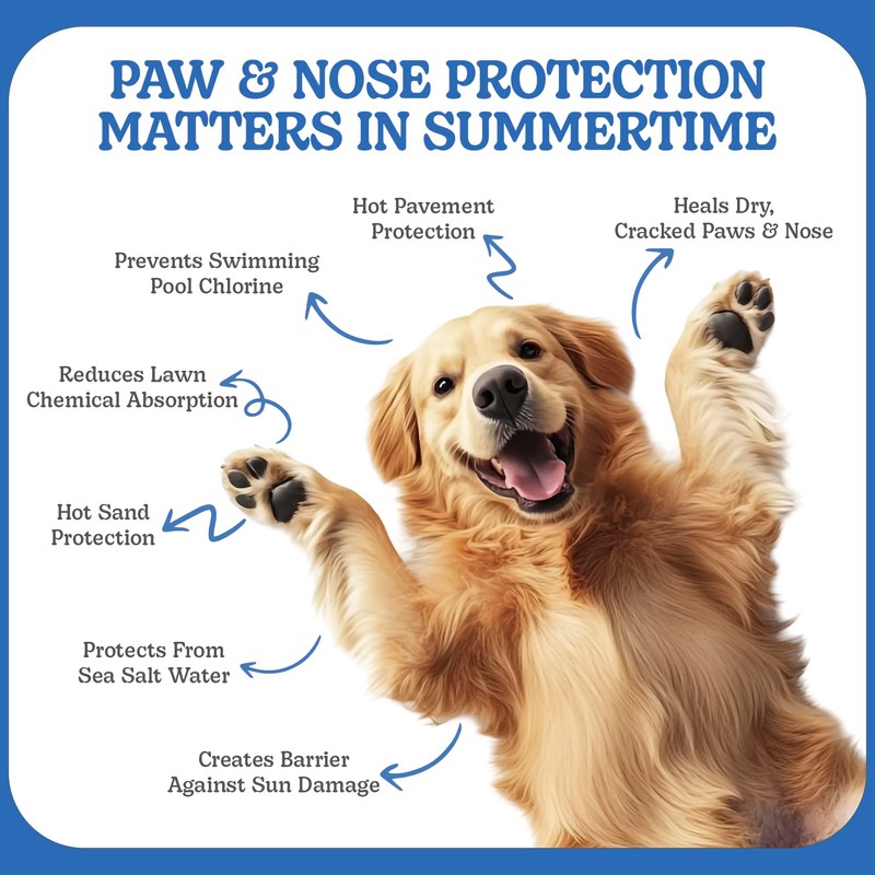 BoneItUp Natural Pet Paw Balm for Dogs, 30g – Soothing