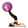 Pezziball Standard Exercise Ball, 42 cm