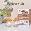 Ceramic Mushroom Salt and Pepper Shakers Set – Whimsical Kitchen
