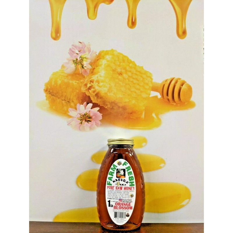 Naturz Beez RAW HONEY ORANGE BLOSSOM 2 Pack 1LB Each
