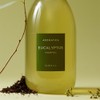 Aromatica Eucalyptus Hair Loss Care Shampoo 1L Cooling pH-balanced