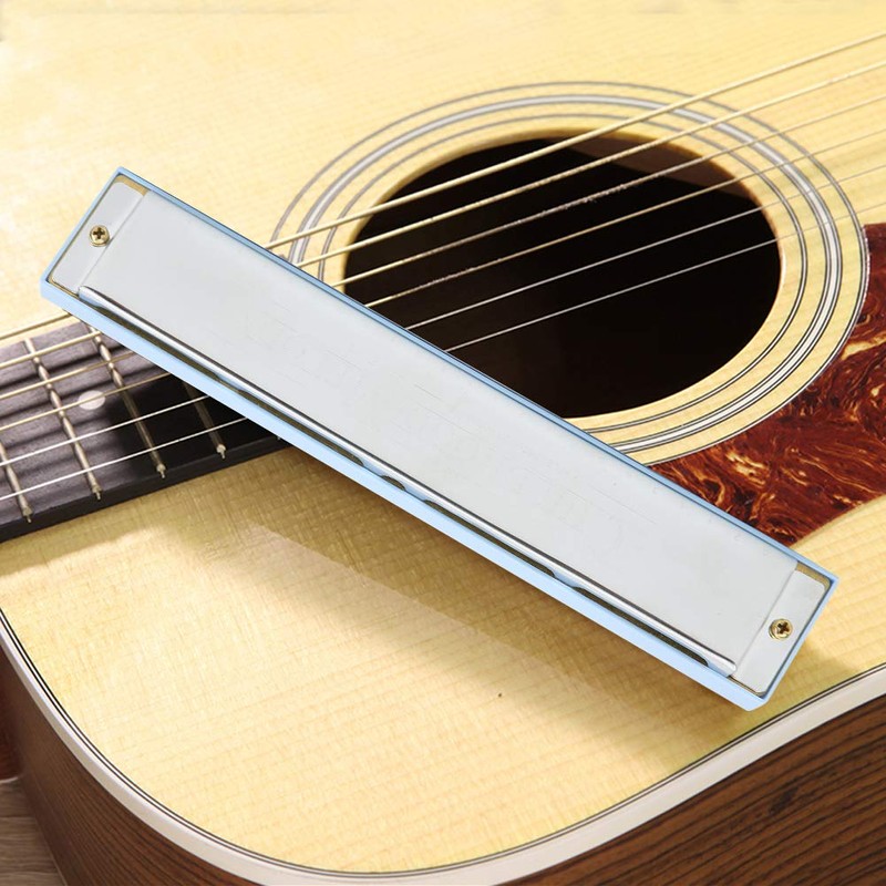 24 Hole Professional Mouse Organ, Diatonic Harp, Loud Sound C