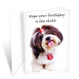 Funny Dog Birthday Card Pun With Shih Tzu | Made in America | Eco-Friendly | Thick Card Stock with Premium Envelope 5in x 7.75in | Packaged in Protective Mailer | Prime Greetings