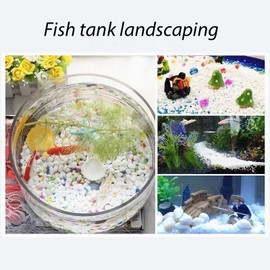 5LB White Succulent and Cactus Gravel Pebbles - 1/5 Inch Natural Stones for Plants, Vases, Aquariums, Terrariums, and Outdoor Gardening