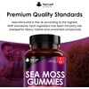 Sea Moss Gummies – 3000mg High Strength with Irish Sea