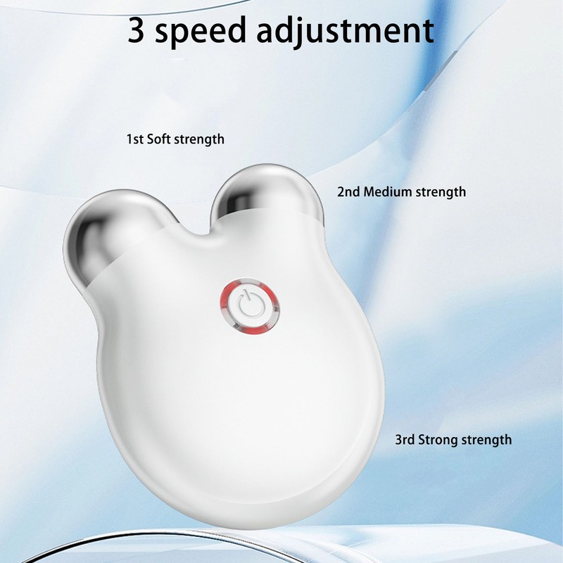 Micro Current Face Massager Dual Roller Lifting Skin Care Sculpt