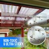 Garsum 50 Pack Window Fly Traps Indoor, Fly Paper Bug