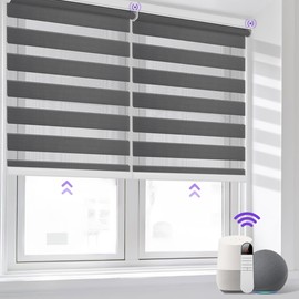 Allesin Motorized Zebra Blinds for Window with Remote, Compatible with Alexa, Smart Dual Layer Shades, Smart Zebra Roller Shades Light Filtering Dry Battery Motor, for Home (HeatherGrey, H72 x W24)