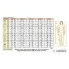Lipedema Lymphedema, POTS support high compression leggins (K2=25-30 mmHg) -