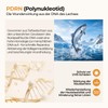 LA.PERSONAL Salmon DNA PDRN Serum Hyaluronic Acid Anti-Ageing Serum 30