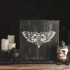 Death Head Moth Stencil - Reusable Stencils for Painting -