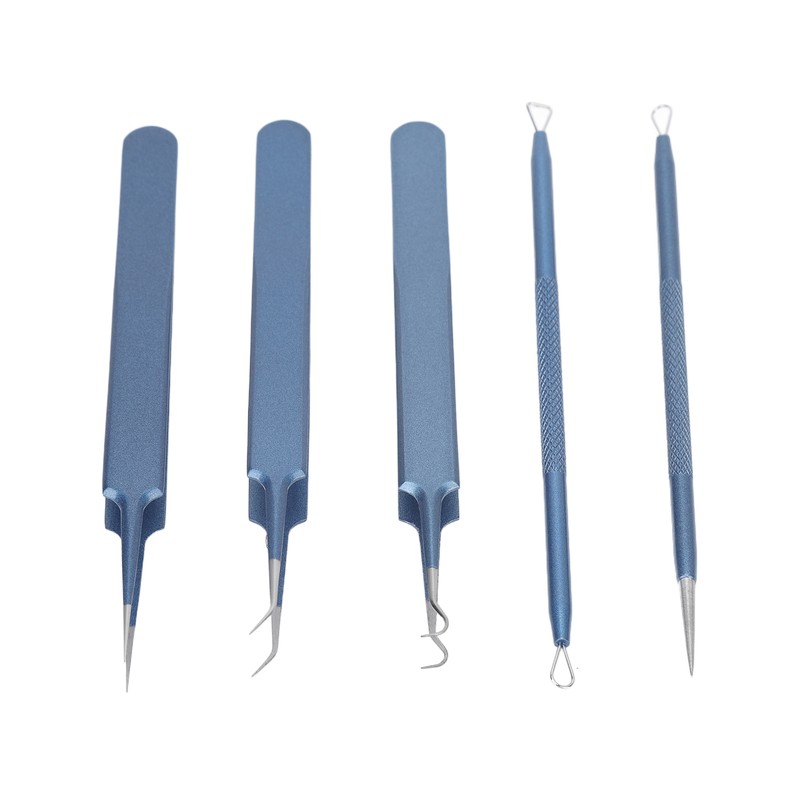 5pcs Blackhead Remover Professional Stainless Blue Acne Needle Tool Set