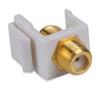 Conwork Ethernet & Coax Wall Plate - Cat6 Coax Keystone