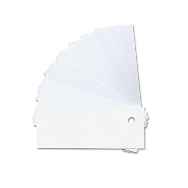 White Plastic Labeling Tags with Holes- 50-Pk