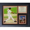 Legends Never Die "Cal Ripken Batting Framed Photo Collage, 11
