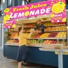 Lemonade Stand Supplies 3x10 ft Lemonade Stand Banner with Order