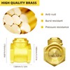 MYWERO 4" NPT Swing Brass Check Valve DN100, 4 Female