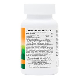 Nature's Plus NaturesPlus Animal Parade Kid Zinc Chewables, Tangerine Flavour - Zinc and Vitamin C Supplement with Ginger, Olive Leaf - Immune Support - Vegan, Gluten Free - 90 Animal Shaped Tablets