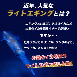 【Cost Performance ◎】Tsuri Goo! Squid Fishing Hook Egging 1.5 Number 6-Piece Set Mini Light Egging Small Squid Octopus Squid Metal Hiika Tutsuika Iidako Kouika Fishing Hook Mini Set 1.5 Number