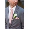 DiBanGu Silk Men Solid Pink Tie and Lapel Pin Set