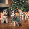 Vehomy 3-Pack Christmas Dog Shirts - Sleeveless Xmas Tank Tops