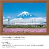 500 Piece Jigsaw Puzzle, Lotus Flower and Mt. Fuji (Shizuoka),
